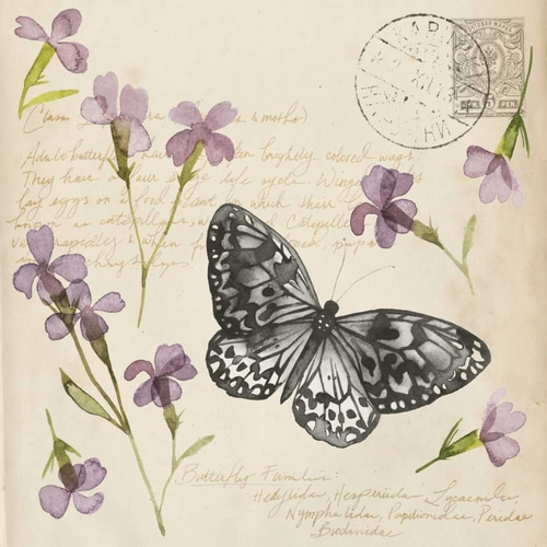 Pressed Flower Collection A