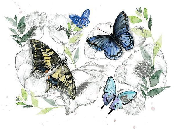 Watercolor Butterfly Collection A