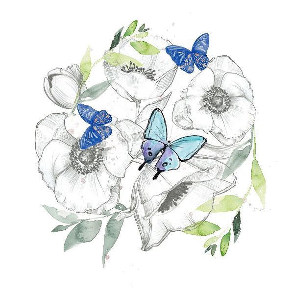 Watercolor Butterfly Collection C