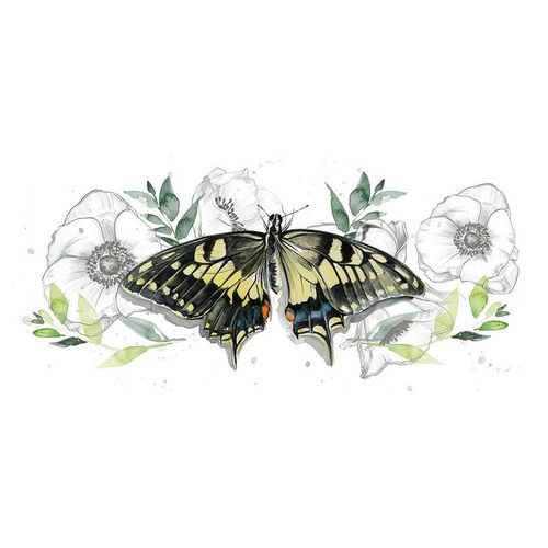 Watercolor Butterfly Collection D