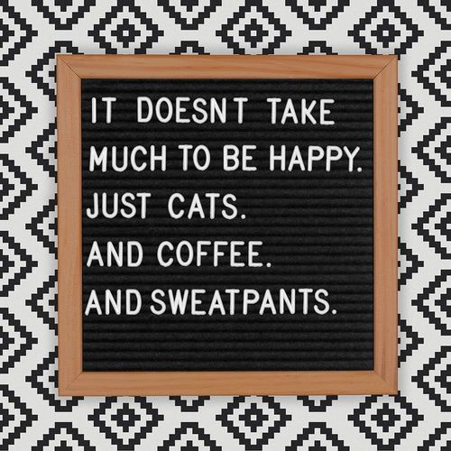 Cats and Sweatpants