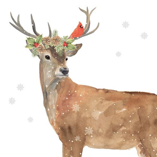 Seasonal Deer