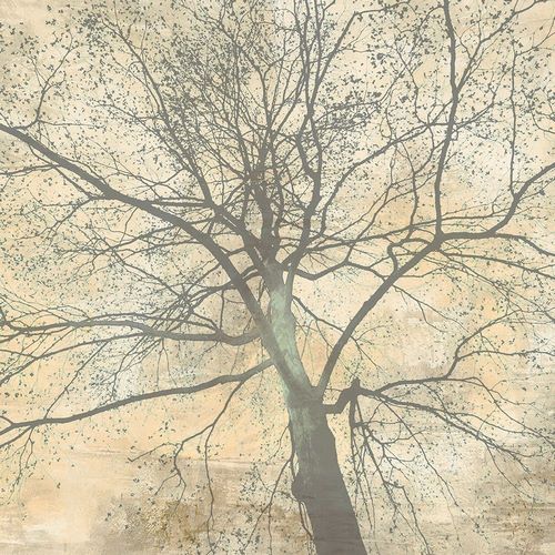 Aprile, Alessio 아티스트의 Below My Tree II (detail)작품입니다.
