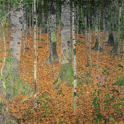 The Birch Wood