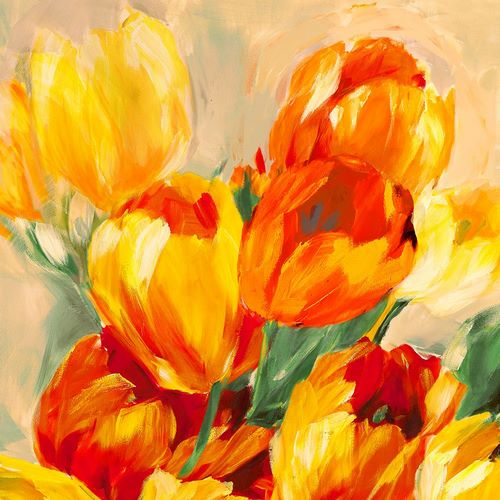 Stone, Jim 아티스트의 Tulips in the Sun I작품입니다.