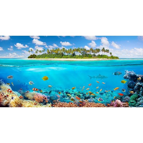 Pangea Images 아티스트의 The Coral Reef 작품