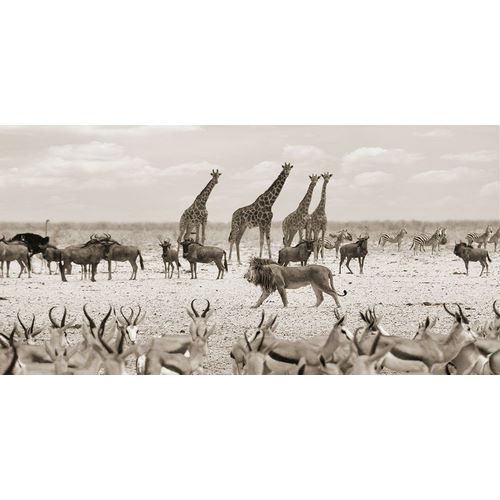 Pangea Images 아티스트의 Sovereign passing by (Masai Mara-BW)작품입니다.