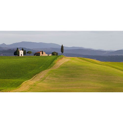 Pangea Images 아티스트의 Val dOrcia-Siena-Tuscany (detail)작품입니다.