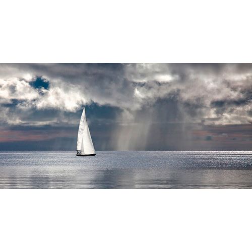 Pangea Images 아티스트의 Sailing on a Silver Sea작품입니다.