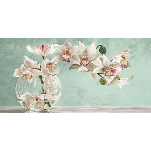 Orchid Arrangement II (Celadon)