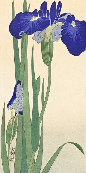 Koson, Ohara 아티스트의 Irises작품입니다.