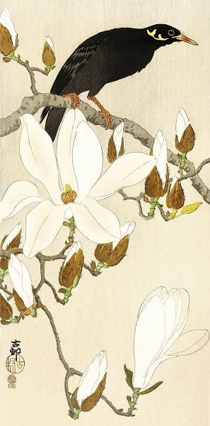 Koson, Ohara 아티스트의 Myna on Magnolia Branch작품입니다.