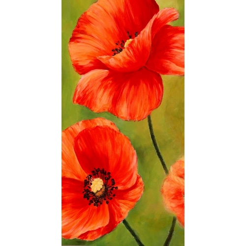 Poppies in the wind I