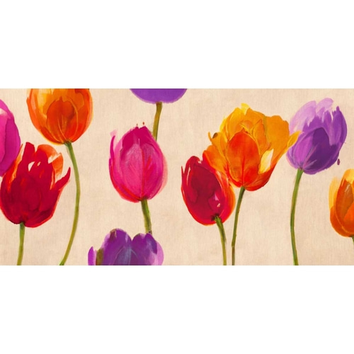Tulips and Colors