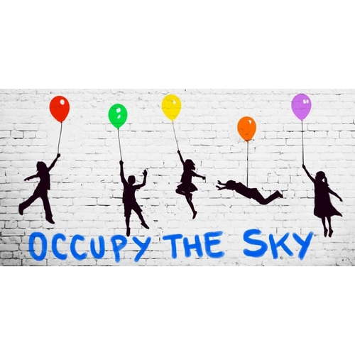 Occupy the Sky