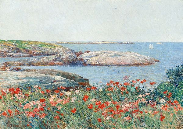 Poppies- Isles of Shoals