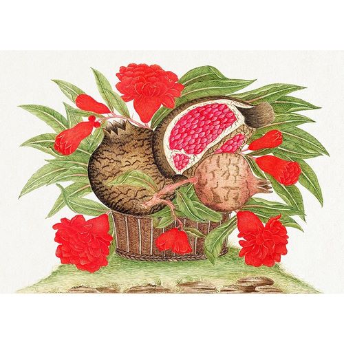 Anonymous 아티스트의 Basket of pomegranates 작품