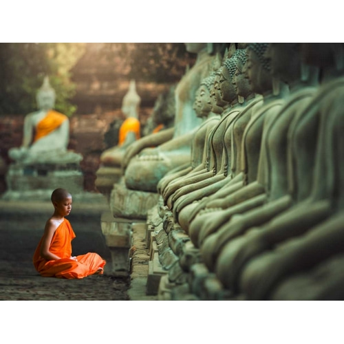 Young Buddhist Monk praying, Thailand