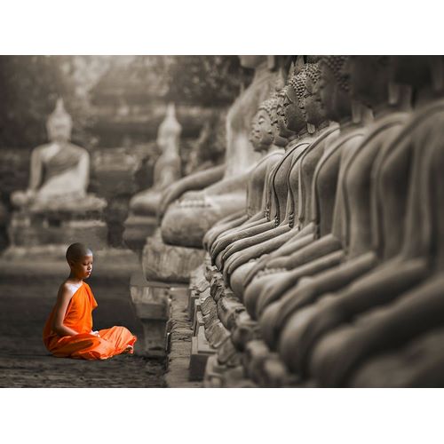 Young Buddhist Monk praying, Thailand (BW)