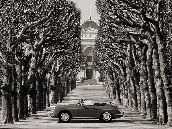 Roadster in tree lined road, Paris (BW)