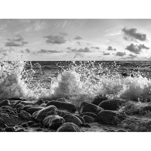 Waves crashing, Point Reyes, California (BW)