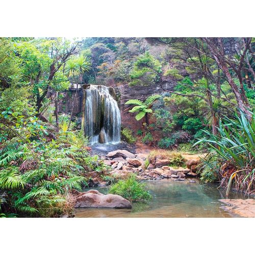 Pangea Images 아티스트의 Rainforest waterfall - detail 작품
