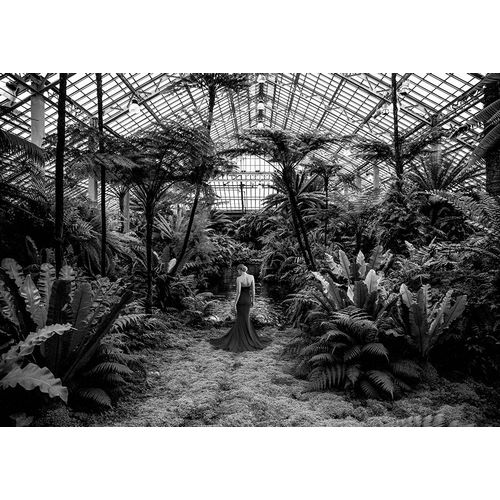 Lauren, Julian 아티스트의 Unconventional Womenscape #2-Jardin dHiver (BW)작품입니다.