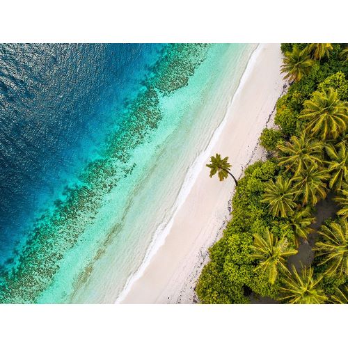 Pangea Images 아티스트의 Tropical Beach, Aerial View작품입니다.
