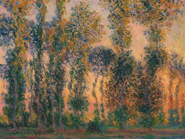 Poplars at Giverny - Sunrise