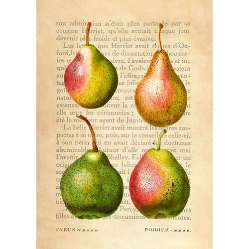 Pears- After Redoute