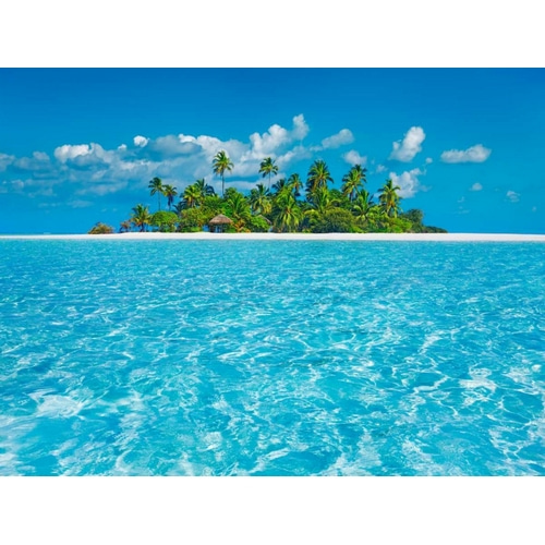 Tropical lagoon with palm island, Maldives