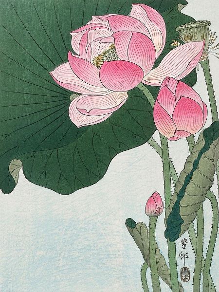 Koson, Ohara 아티스트의 Blooming lotus flowers작품입니다.
