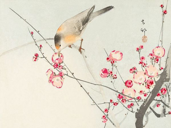 Koson, Ohara 아티스트의 Songbird on blossom Branch작품입니다.