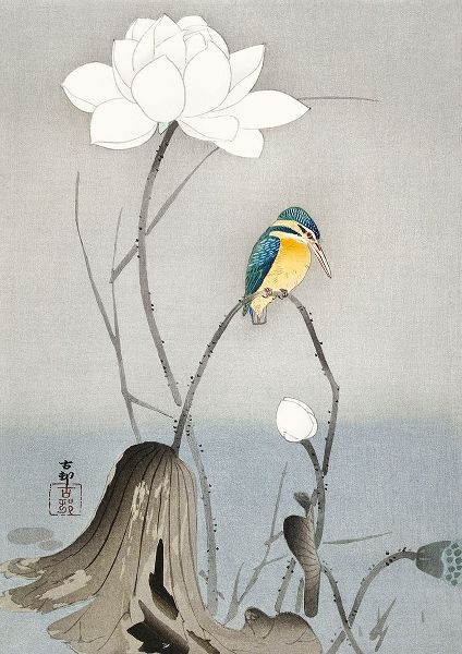 Koson, Ohara 아티스트의 Kingfisher with Lotus Flower작품입니다.