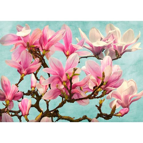 Villa, Luca 아티스트의 Magnolia Branch - turquoise 작품