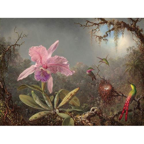 Heade, Martin Johnson 작가의 Cattleya orchid and three hummingbirds 작품