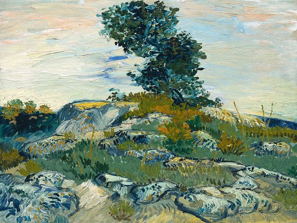 van Gogh, Vincent 아티스트의 The Rocks작품입니다.