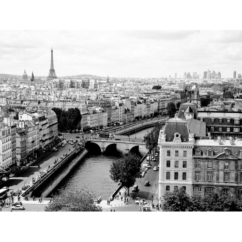 View of Paris and Seine river