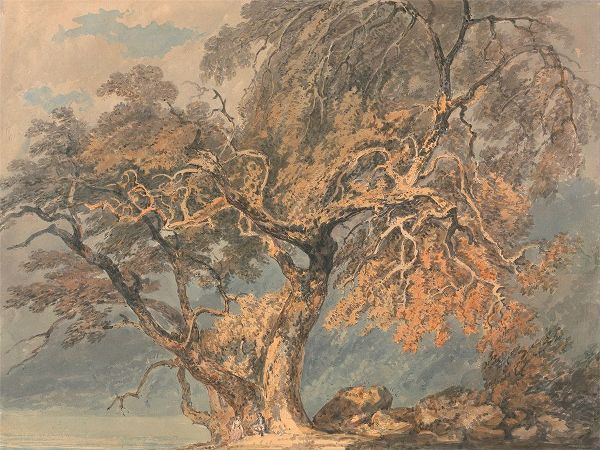 Turner, William 아티스트의 A Great Tree작품입니다.