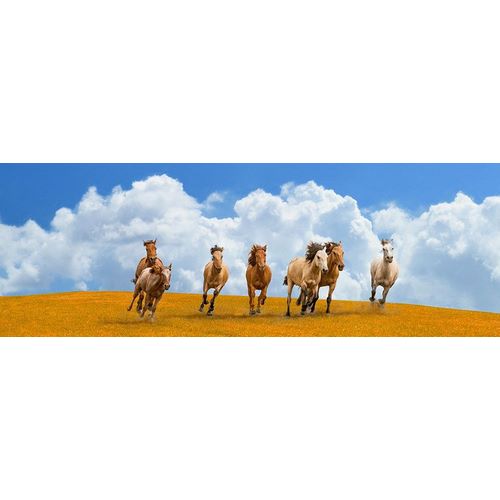 Herd of wild horses (detail)