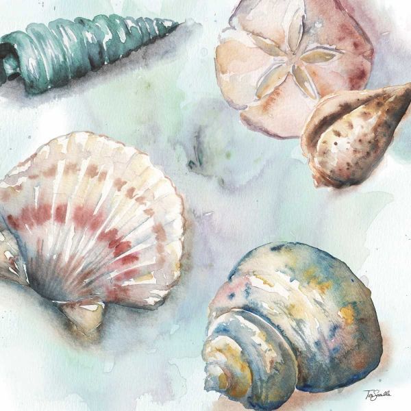 Watercolor Shell Toss I