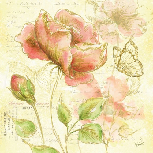 Watercolor Flower Sketch Blush I