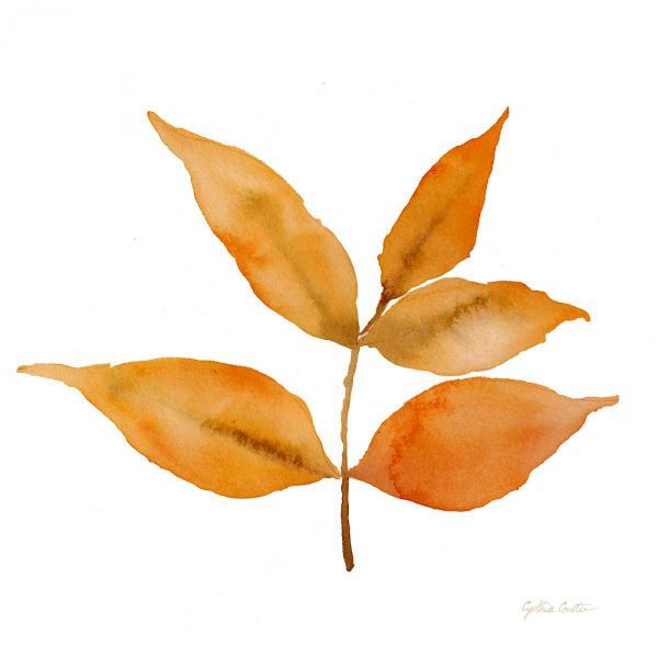 Modern Leaf Study on White I