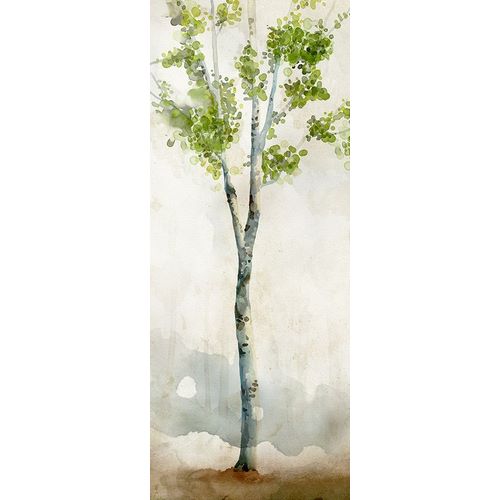 Watercolor Birch Trees I