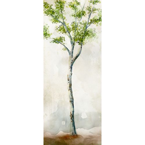 Watercolor Birch Trees II