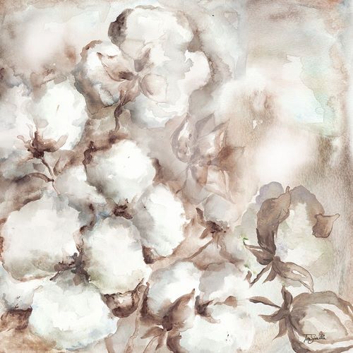 Cotton Boll Triptych I