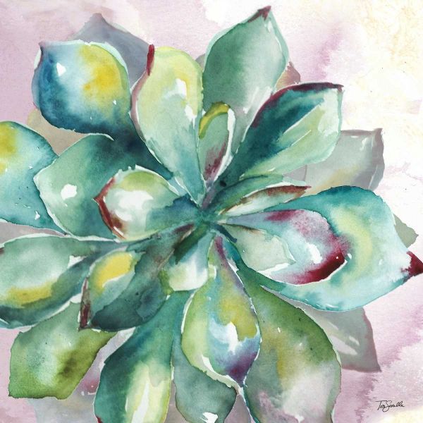 Succulent Watercolor I