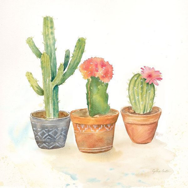 Cactus Pots III