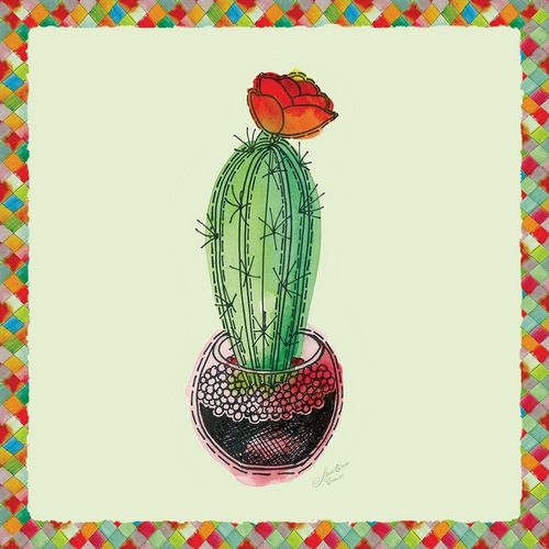 Rainbow Cactus I