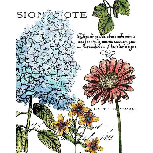 Botanical Postcard Color I